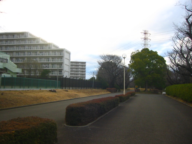f:id:hateruna-yan:20200225201711j:plain