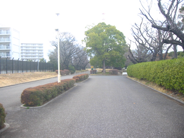f:id:hateruna-yan:20200225201820j:plain