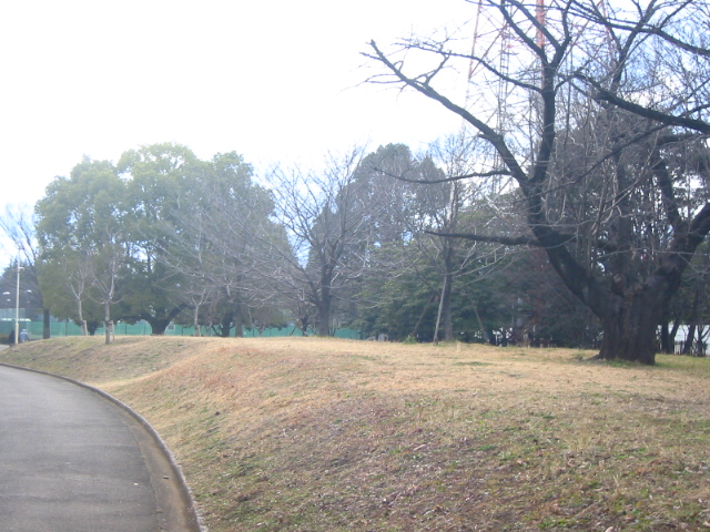 f:id:hateruna-yan:20200225201957j:plain