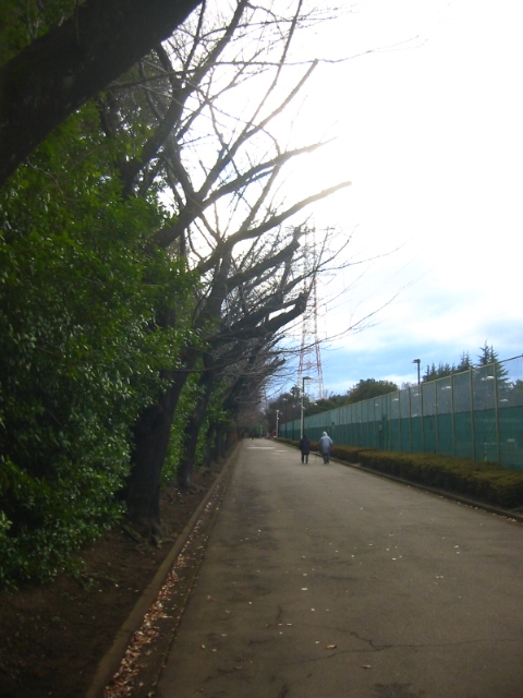 f:id:hateruna-yan:20200225202200j:plain