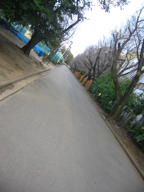 f:id:hateruna-yan:20200225202439j:plain