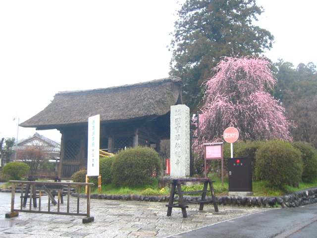 f:id:hateruna-yan:20200308210342j:plain
