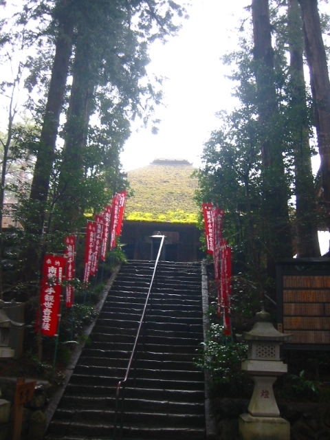 f:id:hateruna-yan:20200308210618j:plain f:id:hateruna-yan:20200308210618j:plain