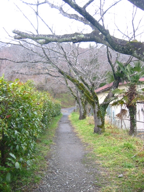 f:id:hateruna-yan:20200308230603j:plain
