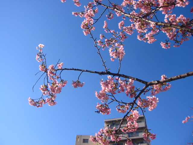f:id:hateruna-yan:20200318190615j:plain