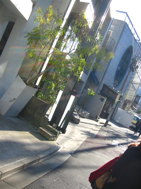 f:id:hateruna-yan:20200321000538j:plain