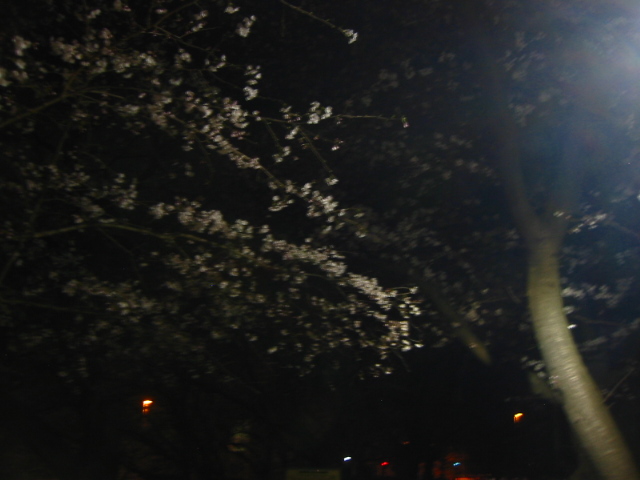 f:id:hateruna-yan:20200324232839j:plain