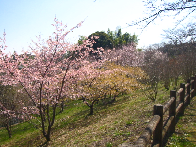 f:id:hateruna-yan:20200327011717j:plain