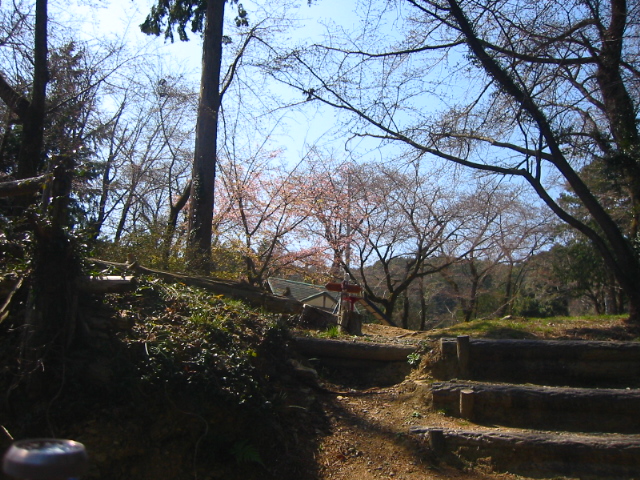 f:id:hateruna-yan:20200327012220j:plain