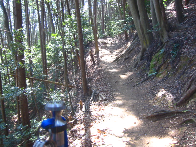 f:id:hateruna-yan:20200327013043j:plain