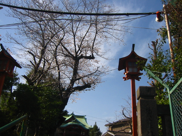 f:id:hateruna-yan:20200327015904j:plain