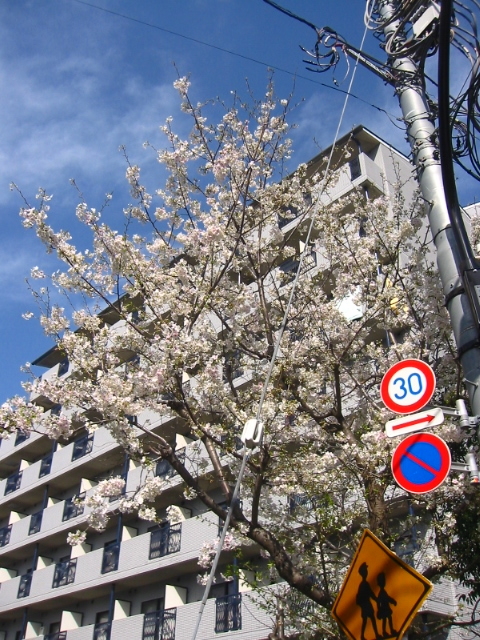 f:id:hateruna-yan:20200327020128j:plain