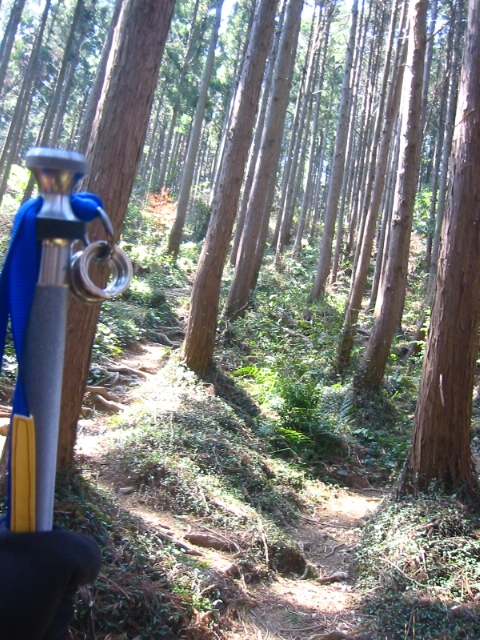f:id:hateruna-yan:20200329074124j:plain f:id:hateruna-yan:20200329074124j:plain