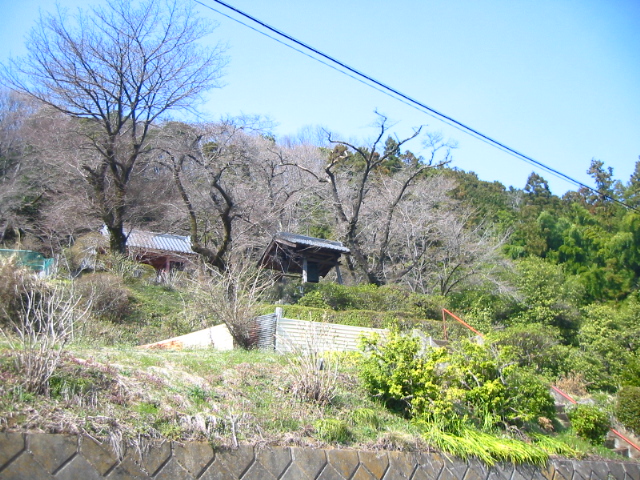 f:id:hateruna-yan:20200401174348j:plain