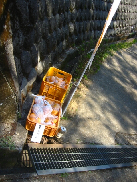 f:id:hateruna-yan:20200401174429j:plain