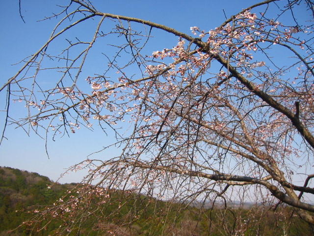 f:id:hateruna-yan:20200403200954j:plain
