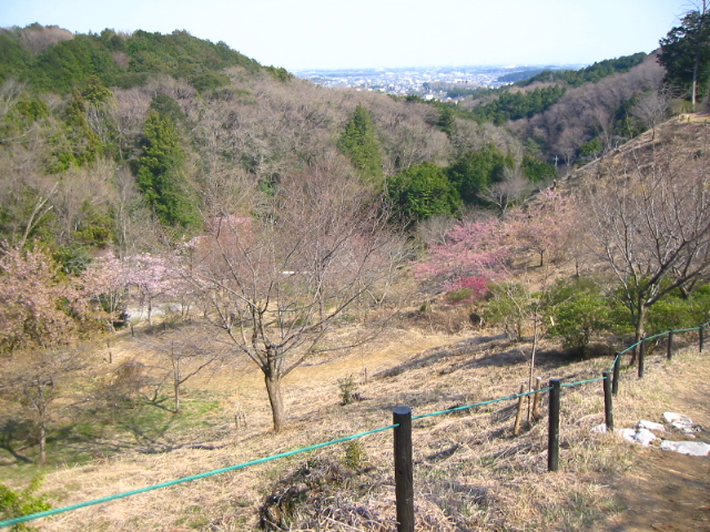f:id:hateruna-yan:20200403201234j:plain