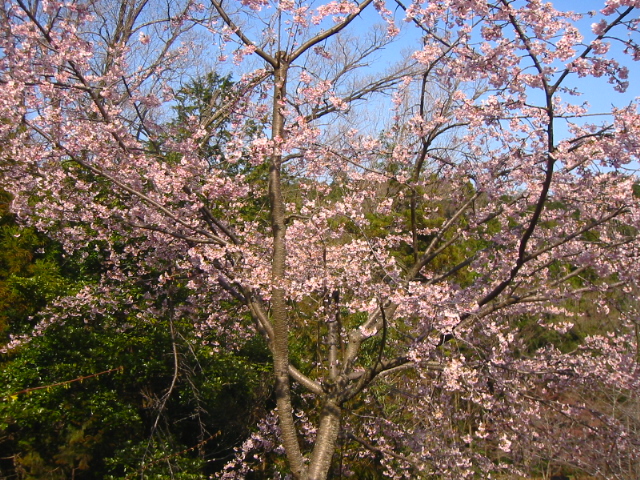 f:id:hateruna-yan:20200403201315j:plain