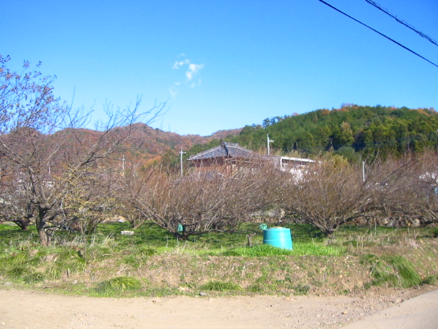 f:id:hateruna-yan:20200409195032j:plain