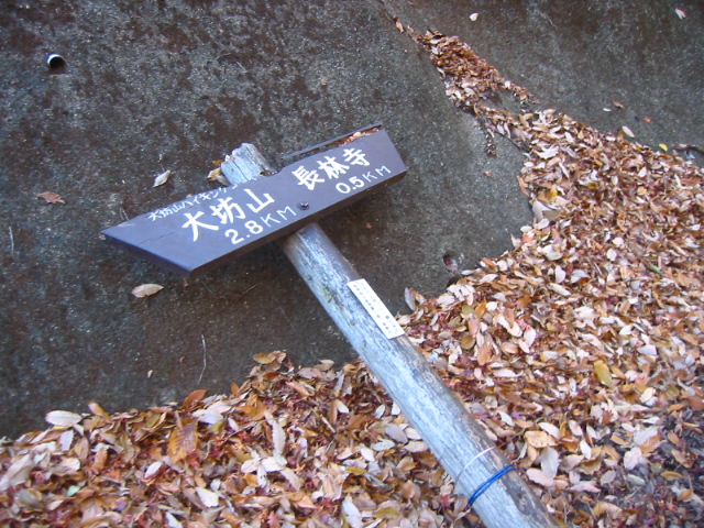 f:id:hateruna-yan:20200410195824j:plain
