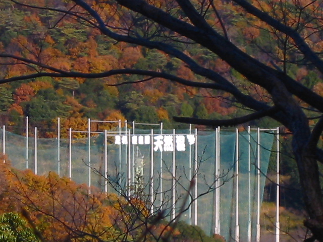 f:id:hateruna-yan:20200410200003j:plain f:id:hateruna-yan:20200410200003j:plain