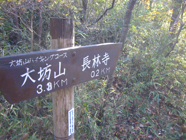 f:id:hateruna-yan:20200410200057j:plain f:id:hateruna-yan:20200410200057j:plain