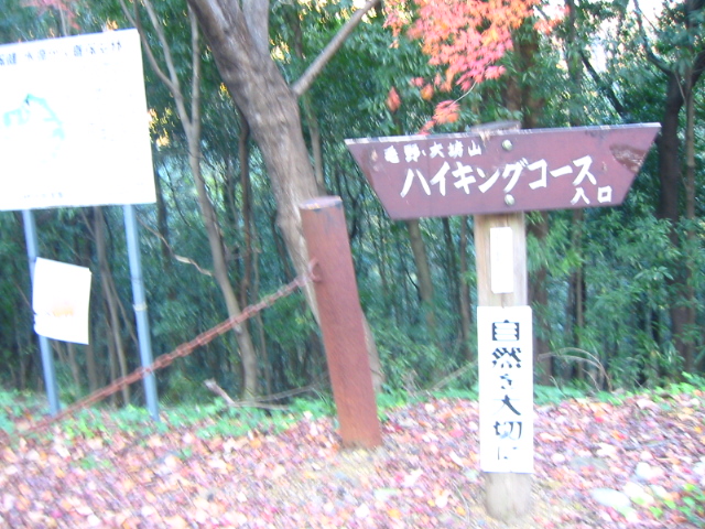 f:id:hateruna-yan:20200416213723j:plain