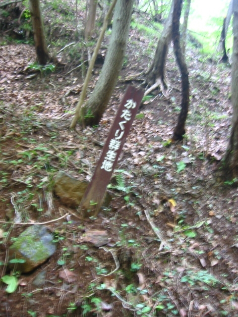 f:id:hateruna-yan:20200418160559j:plain