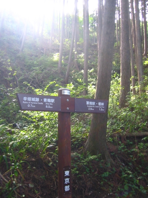 f:id:hateruna-yan:20200420210135j:plain