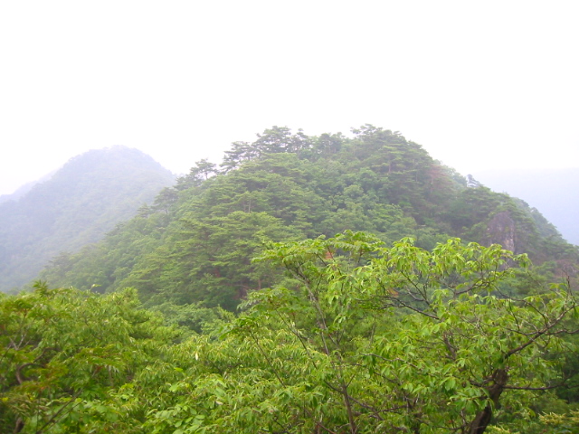 f:id:hateruna-yan:20200430170729j:plain