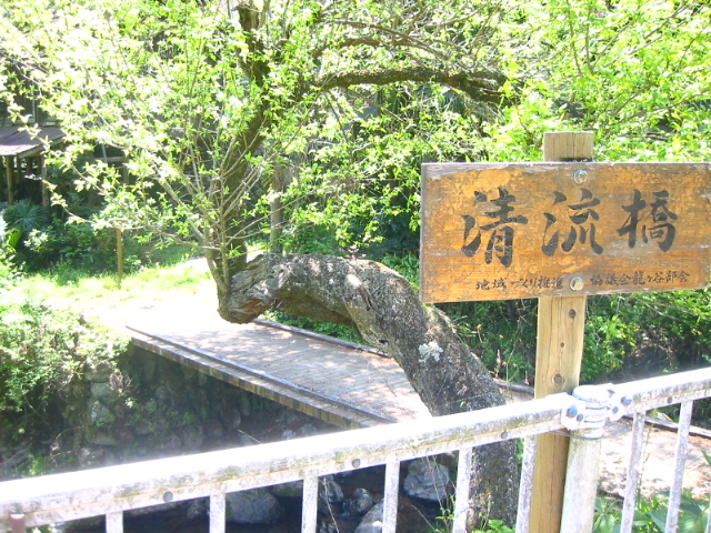 f:id:hateruna-yan:20200430174445j:plain