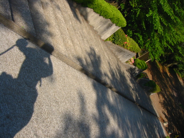 f:id:hateruna-yan:20200509213059j:plain