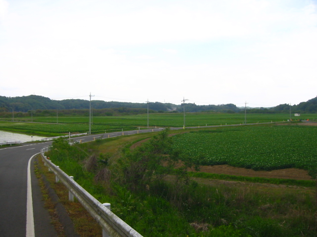 f:id:hateruna-yan:20200520232227j:plain
