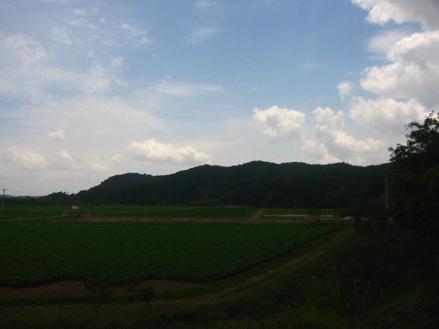 f:id:hateruna-yan:20200522214828j:plain f:id:hateruna-yan:20200522214828j:plain