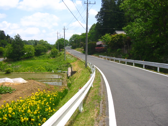 f:id:hateruna-yan:20200522214937j:plain f:id:hateruna-yan:20200522214937j:plain