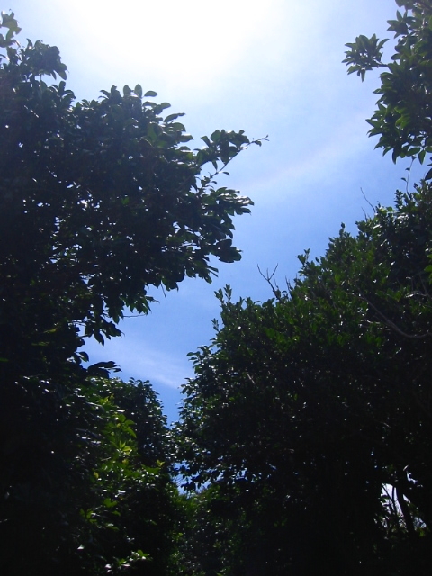 f:id:hateruna-yan:20200527175208j:plain