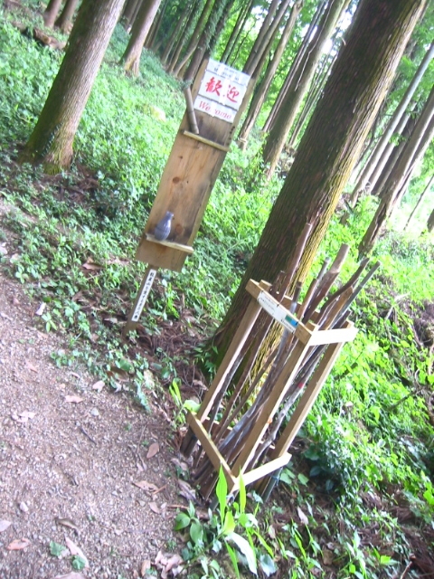 f:id:hateruna-yan:20200602204200j:plain
