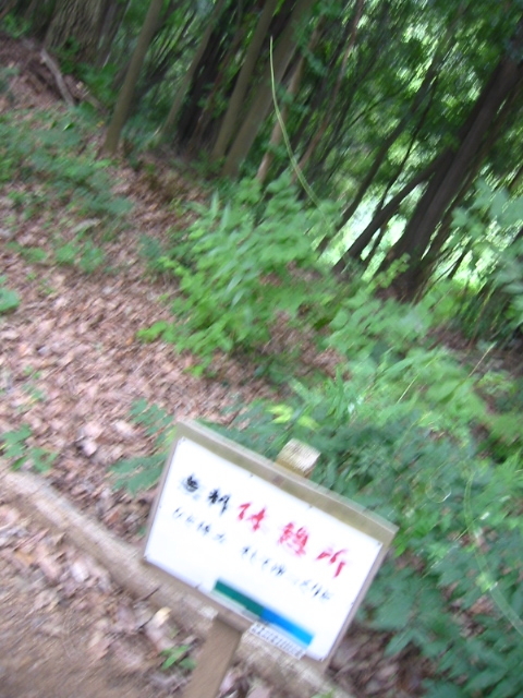 f:id:hateruna-yan:20200602204413j:plain