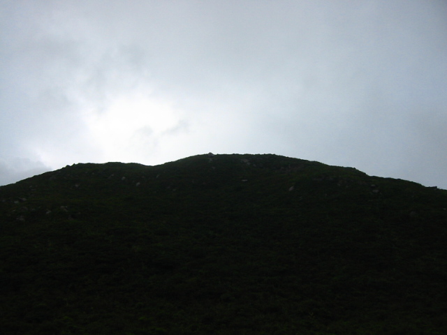 f:id:hateruna-yan:20200628122351j:plain