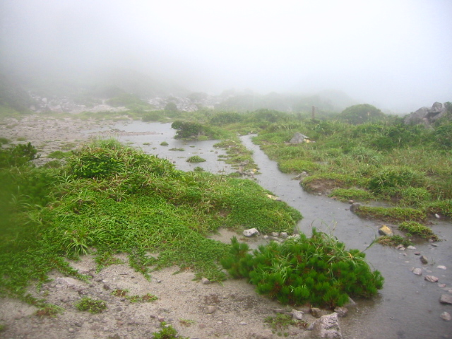 f:id:hateruna-yan:20200705201506j:plain