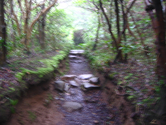 f:id:hateruna-yan:20200725155319j:plain