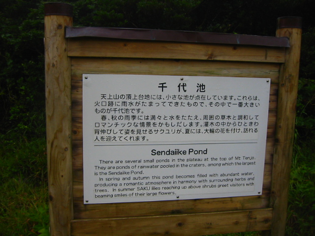 f:id:hateruna-yan:20200725155351j:plain