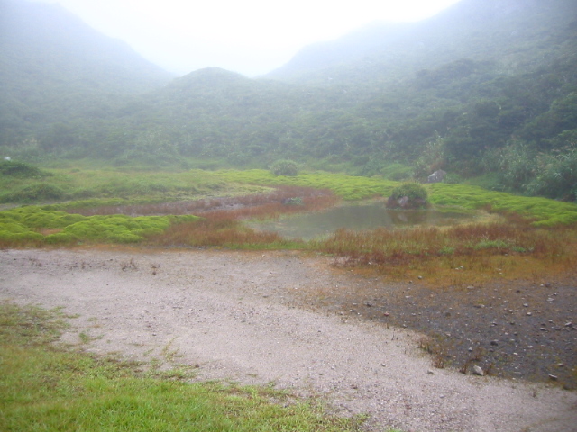 f:id:hateruna-yan:20200725155430j:plain