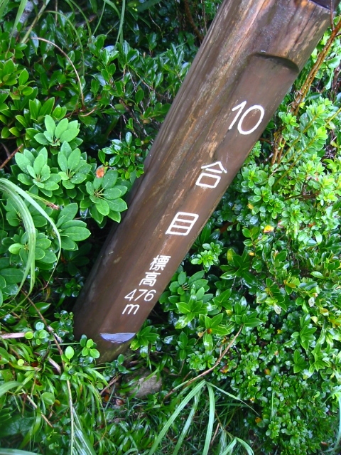 f:id:hateruna-yan:20200725155601j:plain