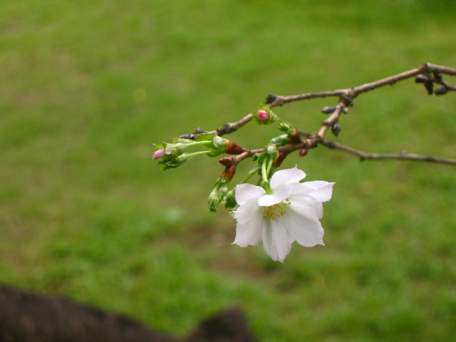 f:id:hateruna-yan:20200922091649j:plain