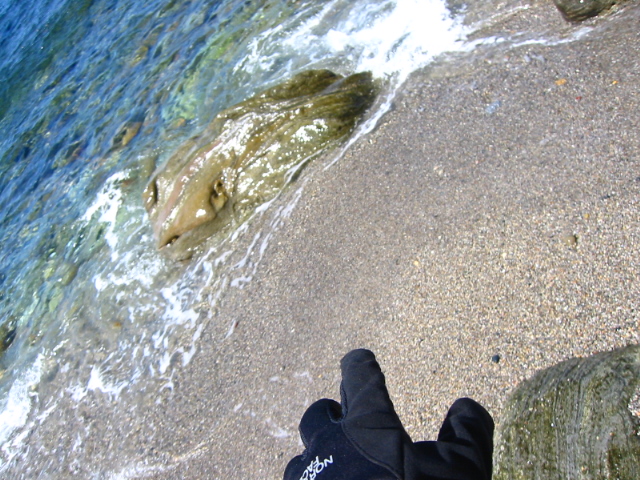 f:id:hateruna-yan:20200928210027j:plain