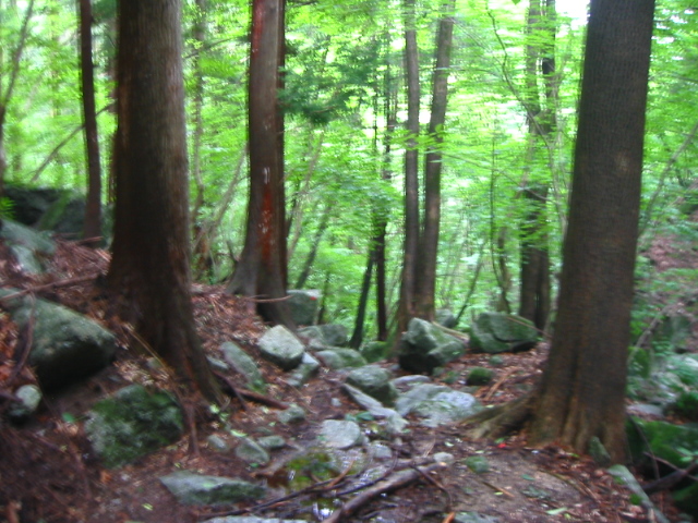 f:id:hateruna-yan:20201208222546j:plain