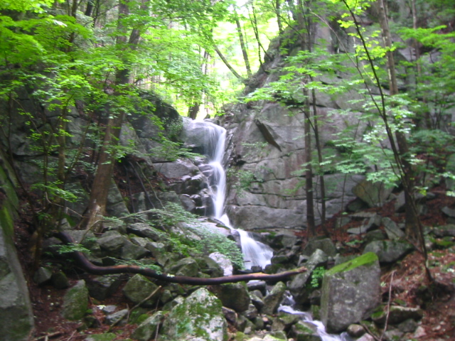 f:id:hateruna-yan:20201208222940j:plain