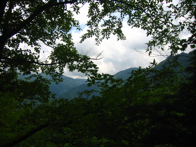 f:id:hateruna-yan:20210325004833j:plain
