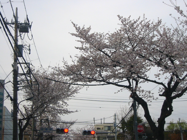 f:id:hateruna-yan:20210328232233j:plain